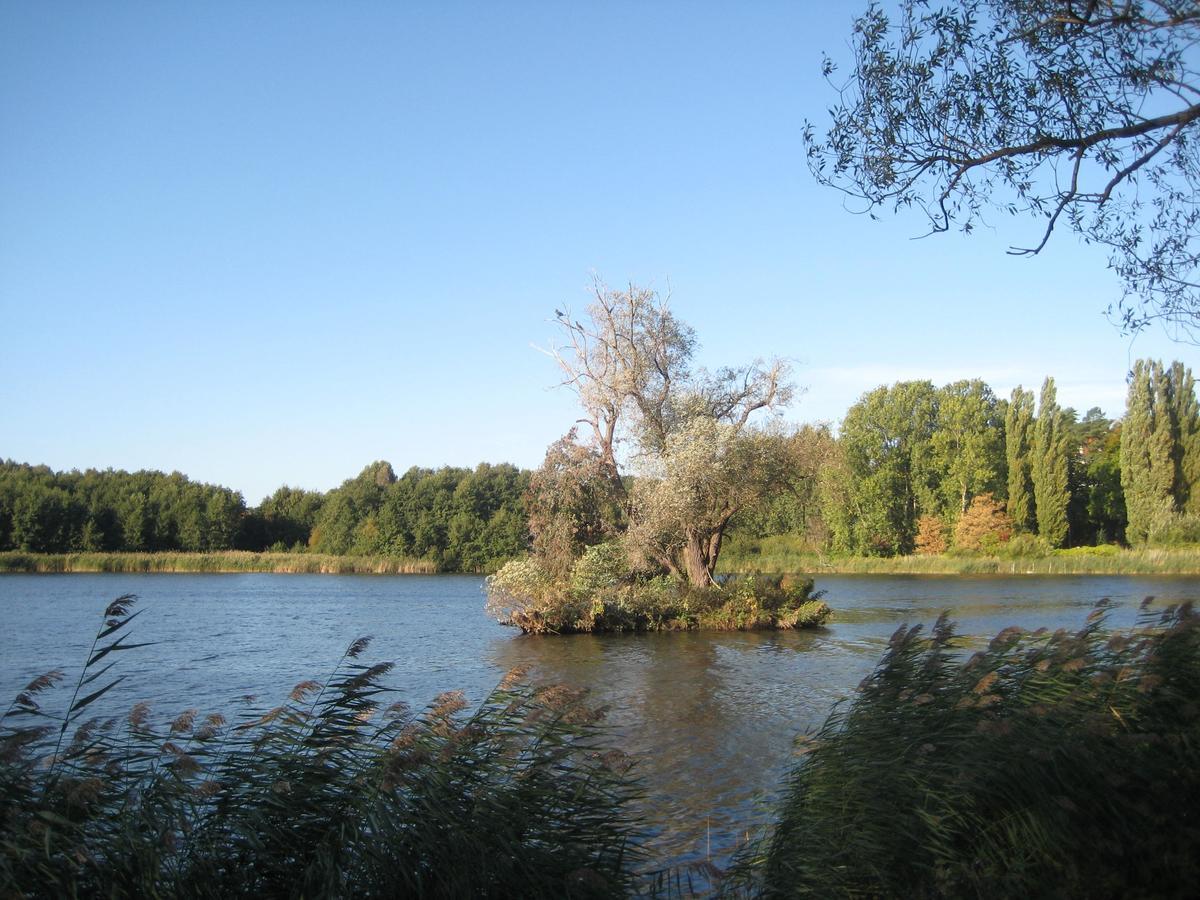 Ferienwohnung Haus Inge Ostseebad Heringsdorf Exterior foto